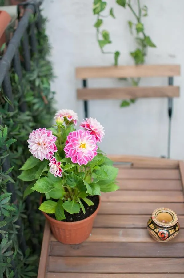 Ai Mori Apartment Palermo Italy